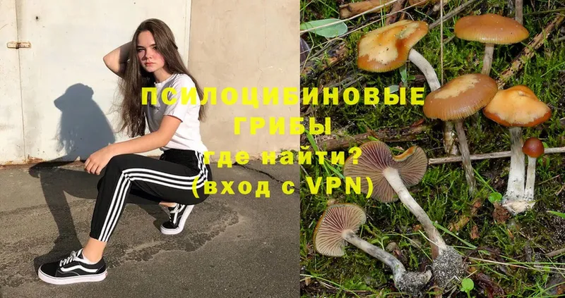 Галлюциногенные грибы Magic Shrooms  mega tor  Москва  продажа наркотиков 